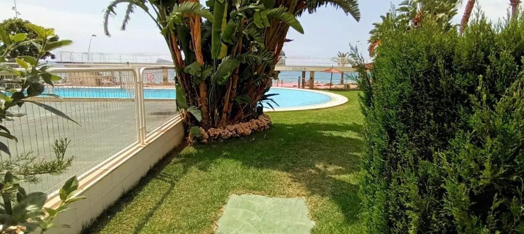 Apartamento Suite Acapulco First Line Benidorm Beach Dış mekan fotoğraf